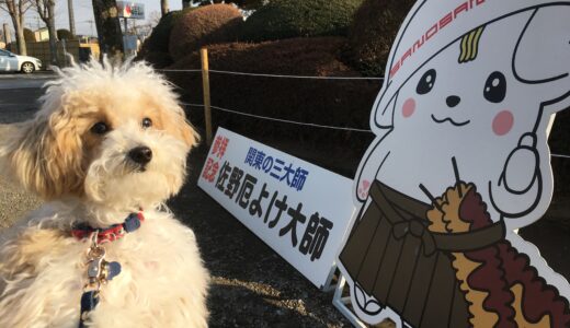 栃木 佐野厄除け大師 犬連れ旅