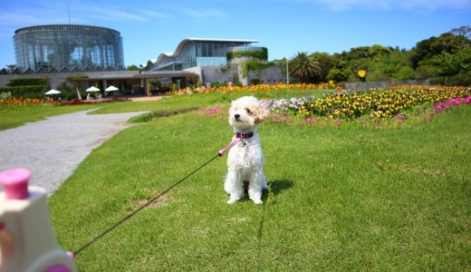 三陽メディアフラワーミュージアム  犬連れ旅